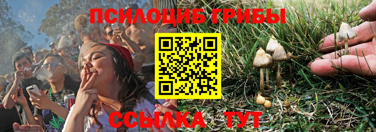 Галлюциногенные грибы мухоморы  Галлюциногенные грибы мицелий  Вход с VPN  Балашиха 